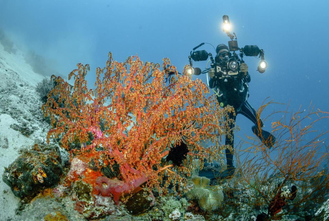 The Three P Beach Resort & Dive Center Agnay 외부 사진